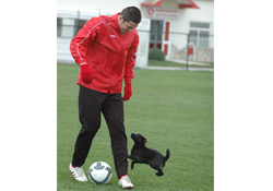 Caner'in köpek sevgisi