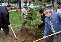 İlkadım yeşilleniyor