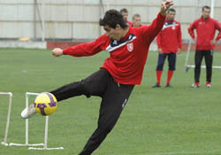 Kocaeli'ne golüm var