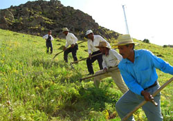 40 bin çiftçiye eğitim verilecek