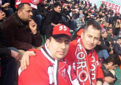 Bengülüler heryerde