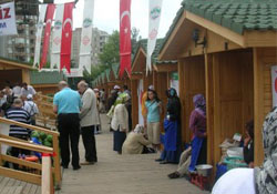 Organik kriz çözüldü