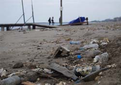 Atakum'dan "çevre" manzaraları