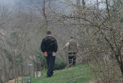 Fındık dalları kurudu