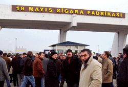 'Tekeli bedavaya aldılar'