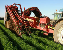 Türkiye'yi prangalardan kurtarıyoruz