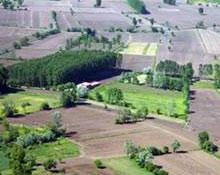 En yüksek teklifi veren mirasçı tarlayı alacak