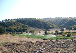 Hedef su kaybını en aza indirmek