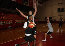 Bireysel çalıştılar