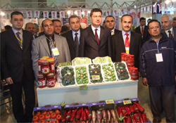 Bafra standına ilgi yoğun