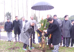 Vekil Demir fidan dikti