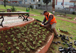 Canik çiçeklerle bezeniyor