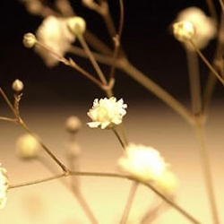 Hava Sıcaklıkları Artıyor