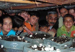 Öğrenciler mantar tesisini gezdi