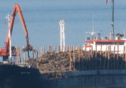 Ordu Limanı'nda 14.6 bin ton yükleme