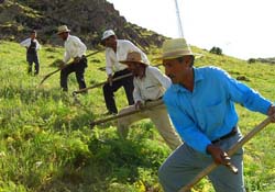 AK Parti çiftçiye verdiği sözü tuttu