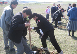 Minik ellerden fidan dikti