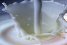 Süttozu üretimine teşvik verilecek