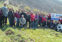 Hemşireler fidan dikti