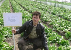 Aysberk Marul günü