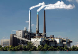 Vahşice cinayetler işleniyor