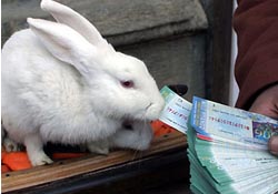 41 milyon TL'yi almayı unuttuk