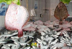 Sıcaklar fiyatları etkiledi