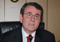 Murzioğlu Viking'i sahiplendi