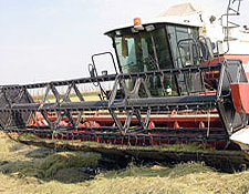 Türkiye bitkisel üretimde kendine yetiyor