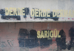 "Sadece duvarları boyuyorlar"