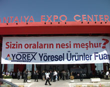 Kıvratma ilgi odağı