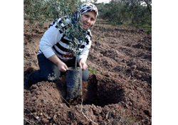 Kadın çiftçiler yarışacak