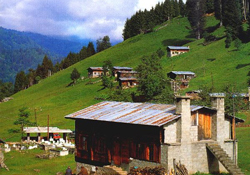 Arsin kaymakamlığı harekete geçti