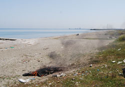 Sahilde "çöp" yakıyorlar !