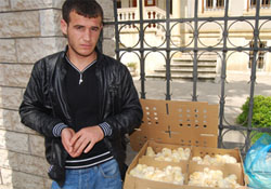 Çiftlik'te civciv renkliliği