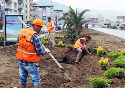Canikte vitrin değişimi