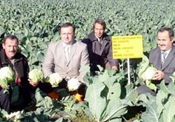 Dünyada darlık, Türkiye'de bolluk