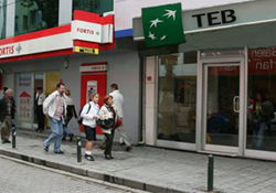 TEB ve Fortis birleşiyor