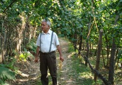 'Fındıkta Dikim Sistemleri' raporu