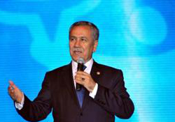 Arınç: "Mahkeme şekil yönünden inceleyecektir"