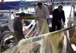Karadeniz'de kefal hazırlığı