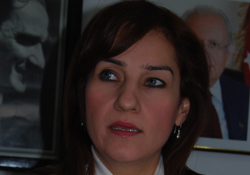 Yardım gemisi mi ? Yolcu gemisi mi ?