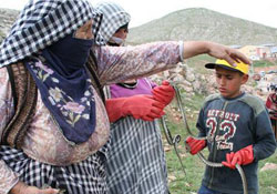 Yılanlı tedavi hastalığı