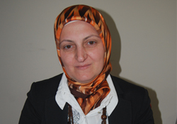 Bir ampul 11 ocağı daha söndürdü