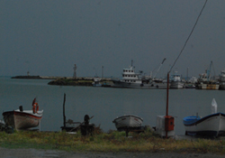 Kültür balıkçılığı tehlikesi