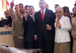 'Biraz dürüstlük lütfen'