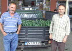 Halde fiyatlar düşüyor