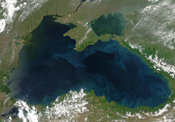 Turmepa projelerle geliyor