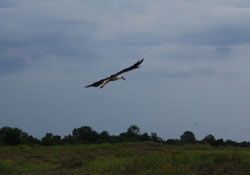 Kızılırmak Deltasında Doğa ve Bilim Okulu açılıyor