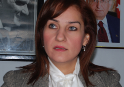 AK Partinin demokrasisi yok